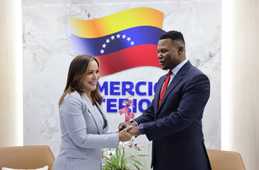 Ministra Godoy se reunió con presidente de la Cámara Africana de Energía