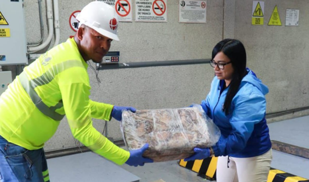 Más de 100 mil kilos de pulpo se exportaron desde La Guaira hacia Europa