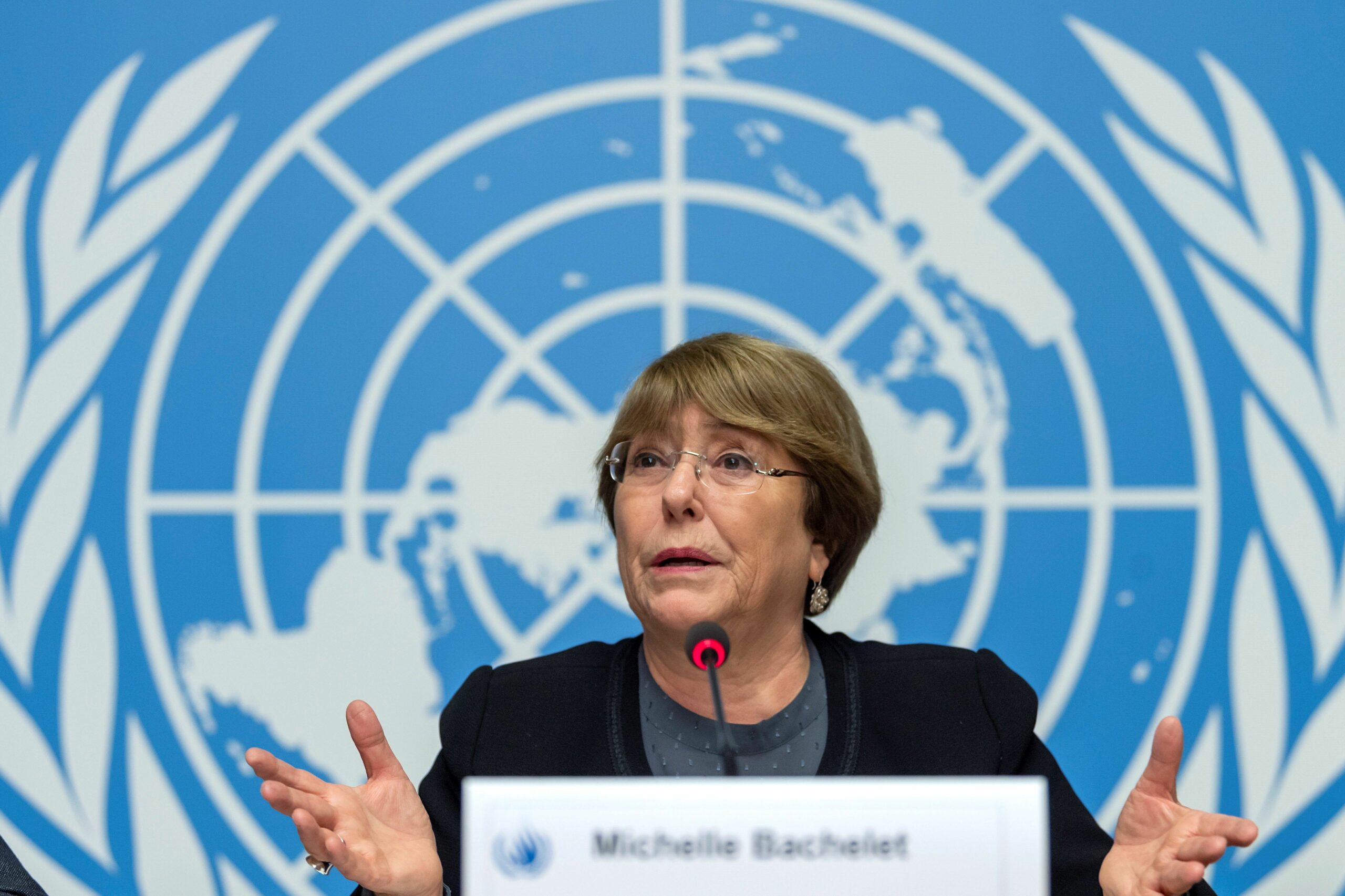 Michelle Bachelet informó sobre Venezuela