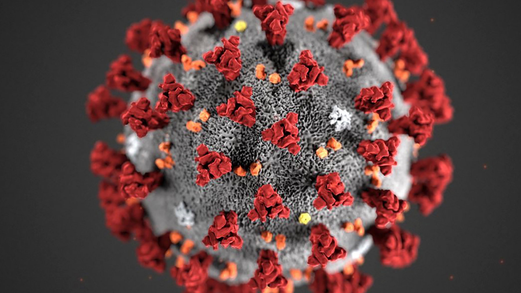 Coronavirus: El capitalismo contra el mundo