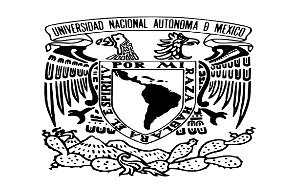 Profesores y Estudiantes de la UNAM manifiestan su respaldo a la revolución Bolivariana.