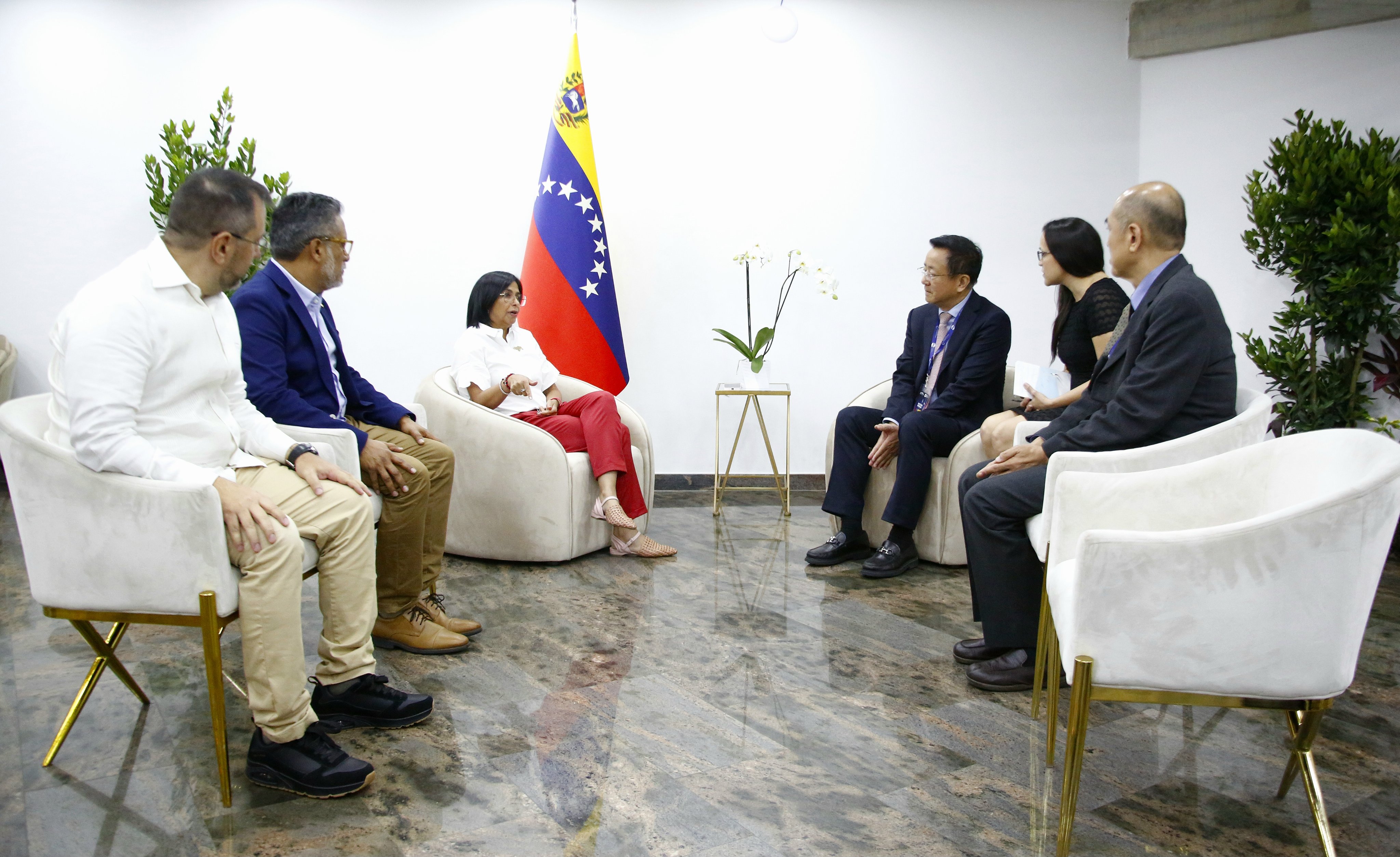 Vicepresidenta Delcy Rodríguez sostuvo reunión con presidente del Instituto de Desarrollo de China