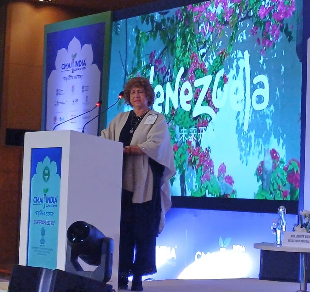 Embajadora Rodríguez interviene en programa de la Semana del Clima de la India