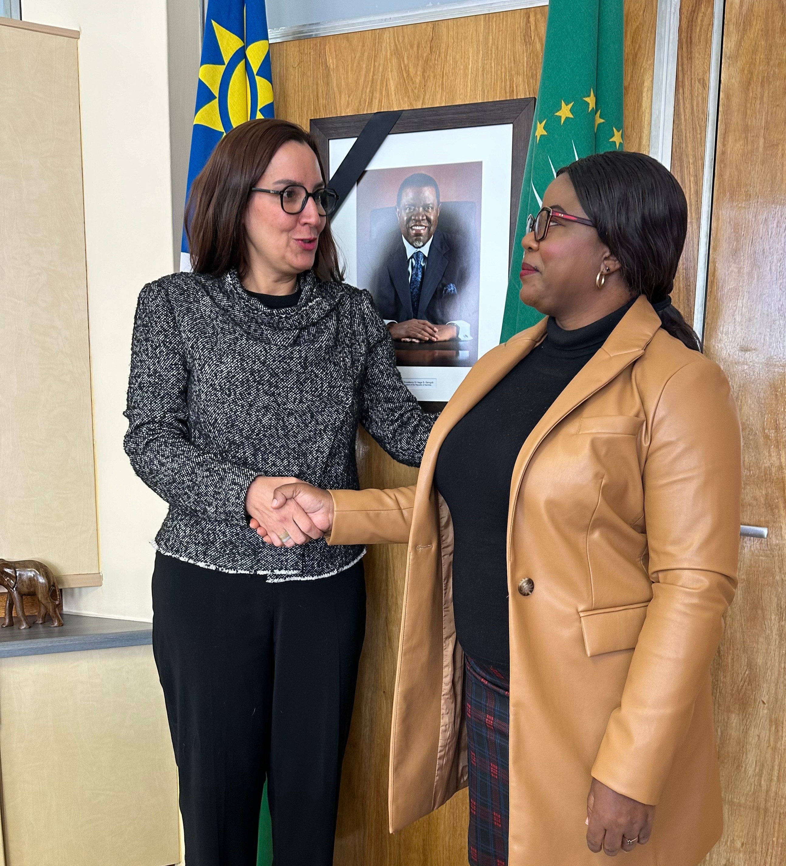 Comicios en Venezuela centran reunión entre Embajadora y Viceministra de Namibia