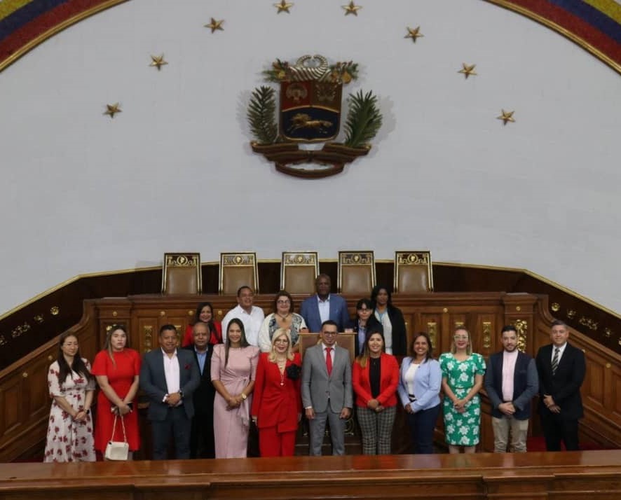 AN instala grupos de Amistad con Perú y cuatro países de África