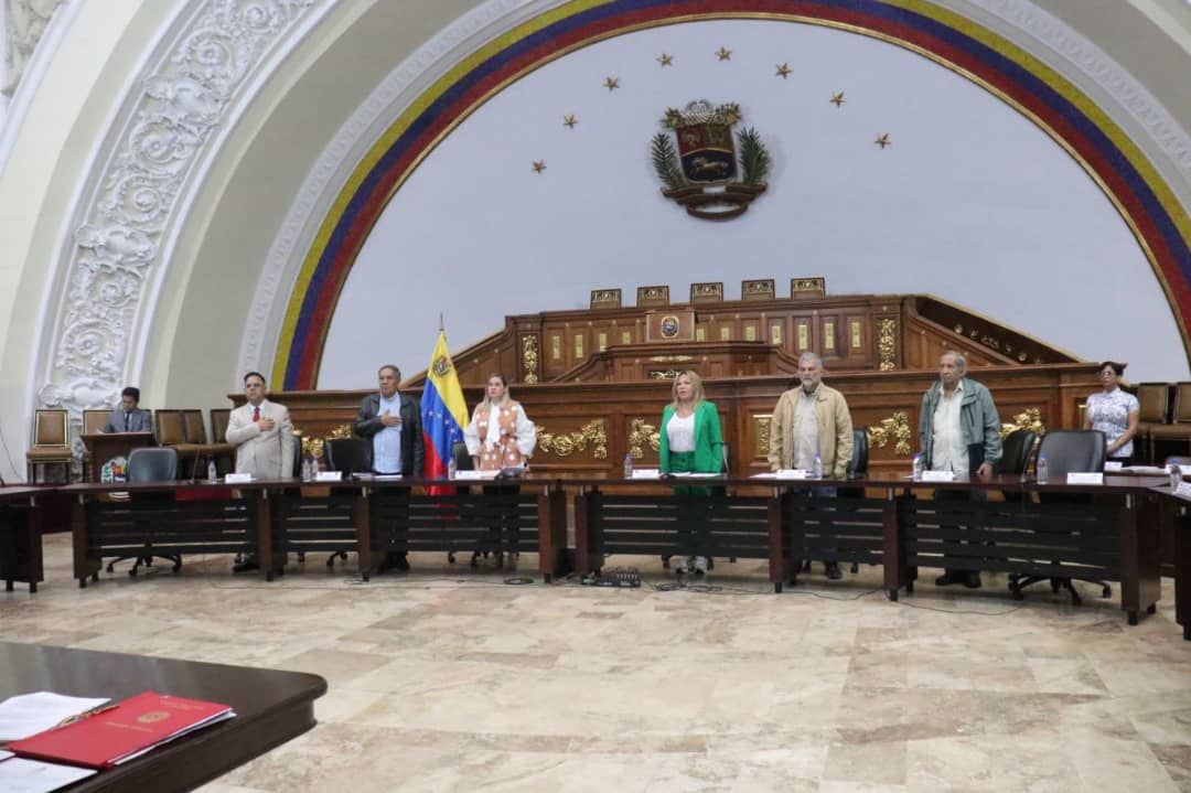 AN instala nuevos grupos de amistad con naciones de África y América