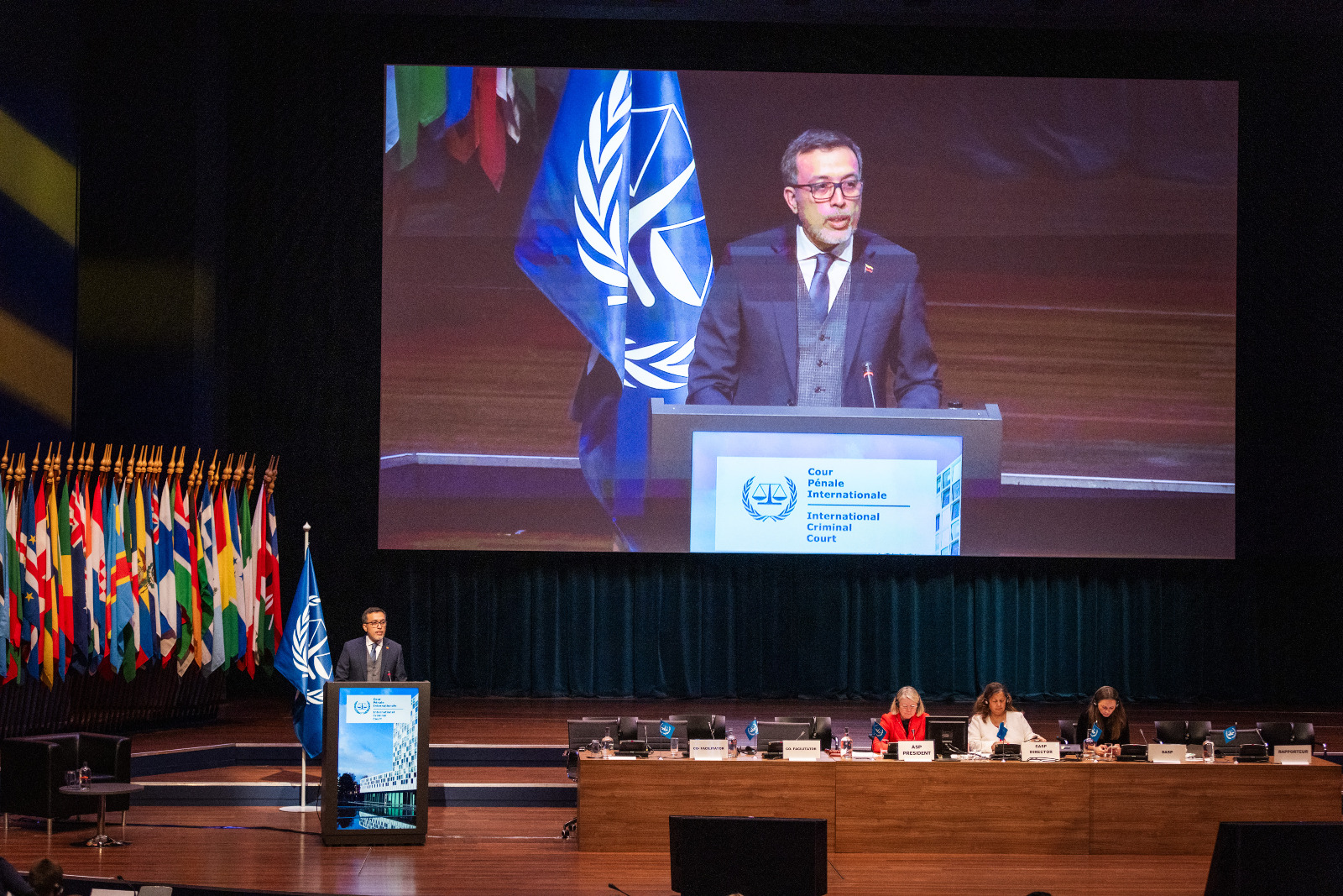 Venezuela denuncia en La Haya campaña de desestabilización política y mediática