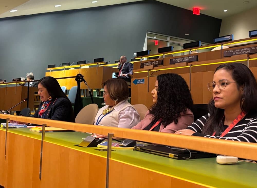 Venezuela llama en la ONU a combatir el odio contra el Islam y promover la paz