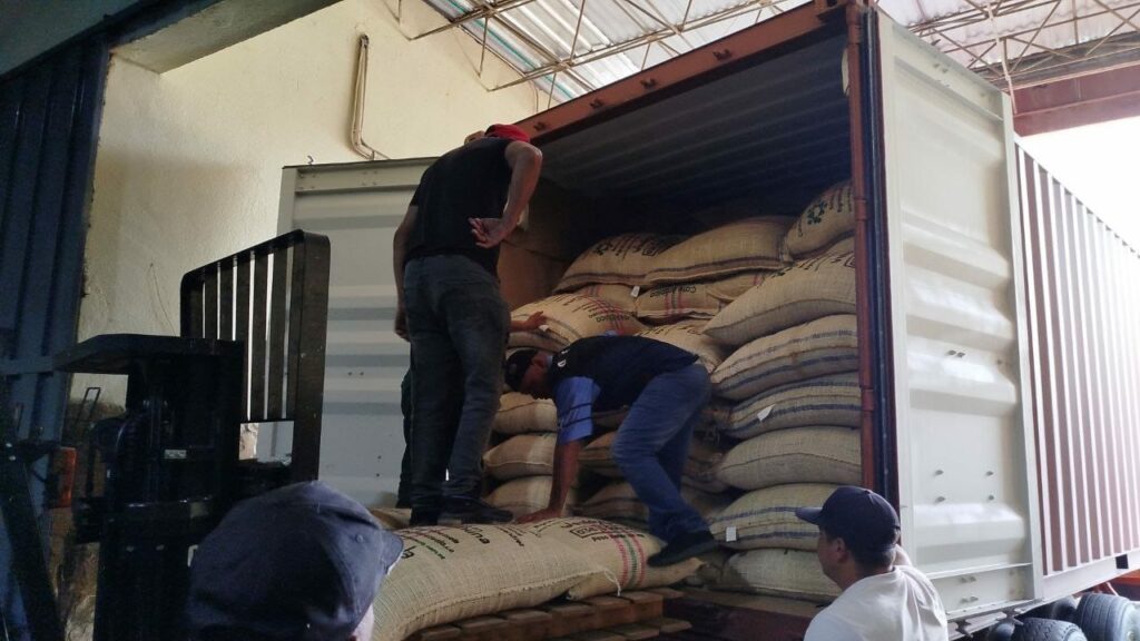 Comunas de Lara realizan segunda exportación de café verde hacia Italia y EEUU