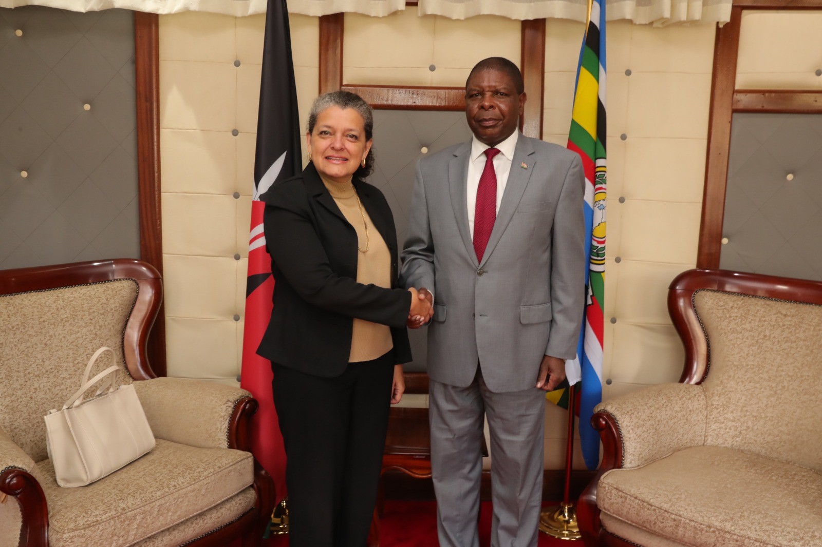Venezuela y Kenia revisan temas de interés común en reunión diplomática