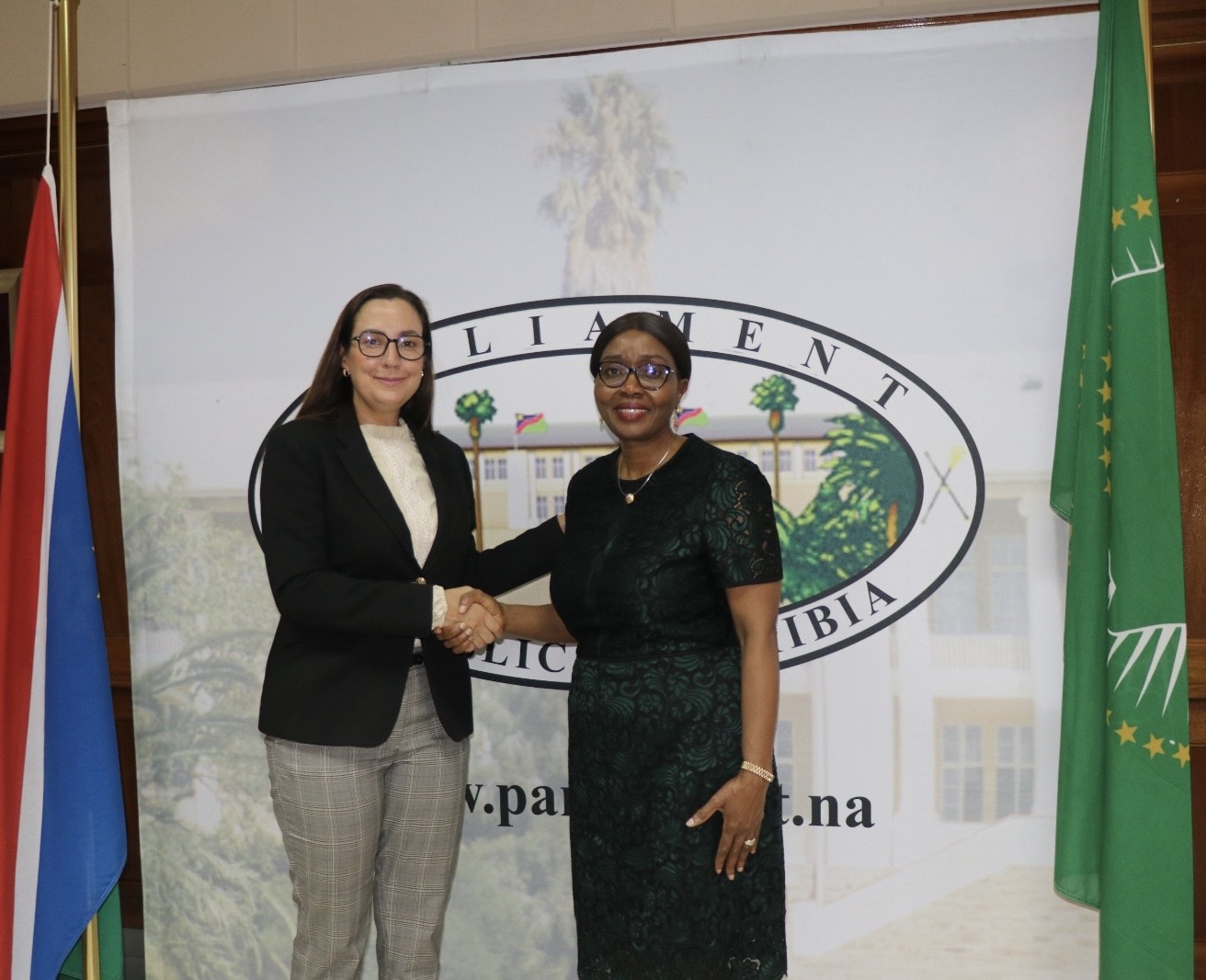 Venezuela denuncia ante Asamblea Nacional de Namibia maniobra militar encubierta en el Caribe como pretexto para intervención