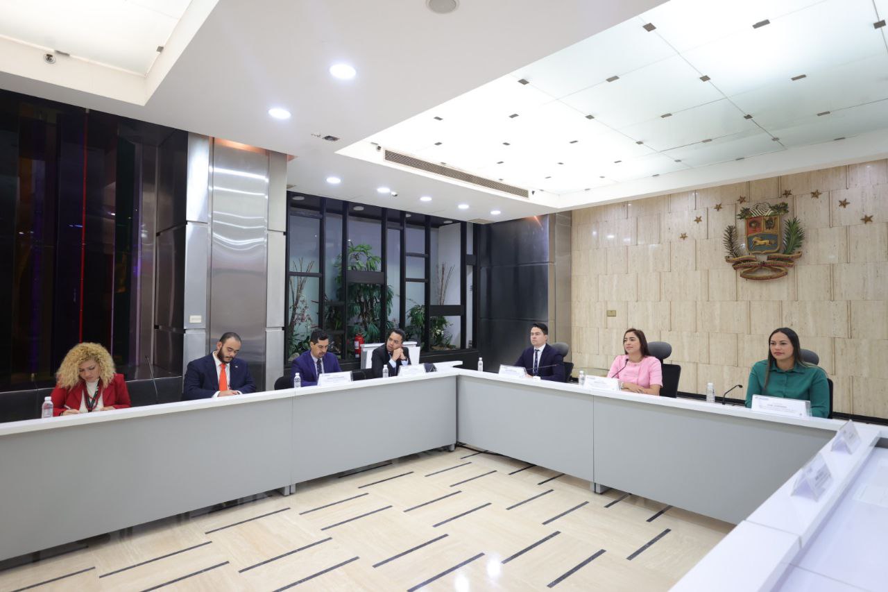 Juventudes Parlamentarias de Venezuela y Belarús refuerzan lazos de cooperación