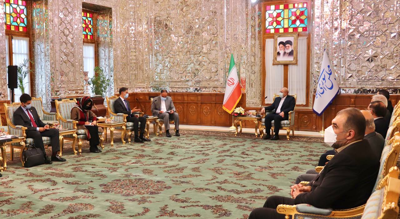 Foreign Minister Plasencia holds a meeting with the president of the Islamic Consultative Assembly of Iran