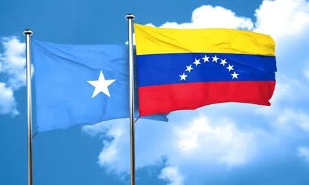 Venezuela’s, Somalia’s foreign ministers discuss strengthening bilateral dialogue, multilateral cooperation