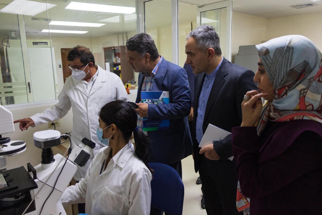 Venezuela e Irán intercambian experiencias en materia científica y de investigación