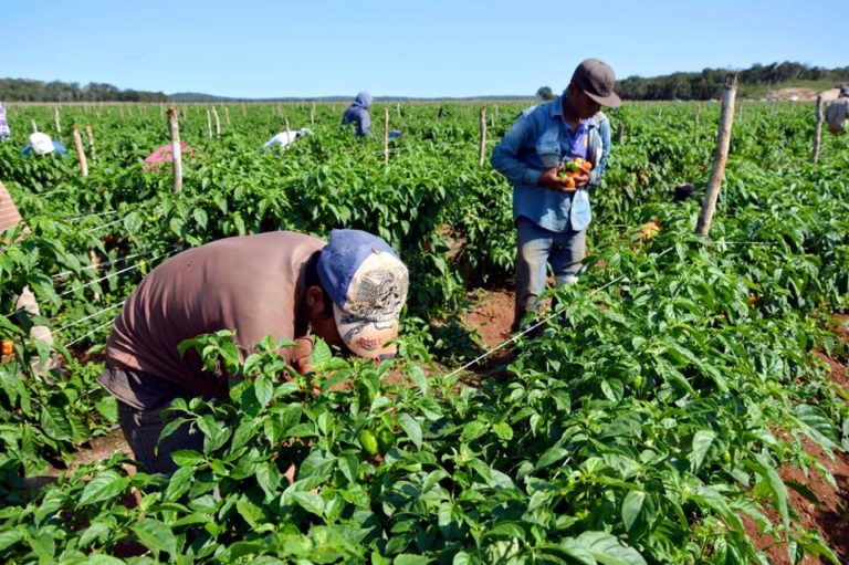 Canciller Faría honra a los trabajadores del campo en el Día Mundial de la Alimentación