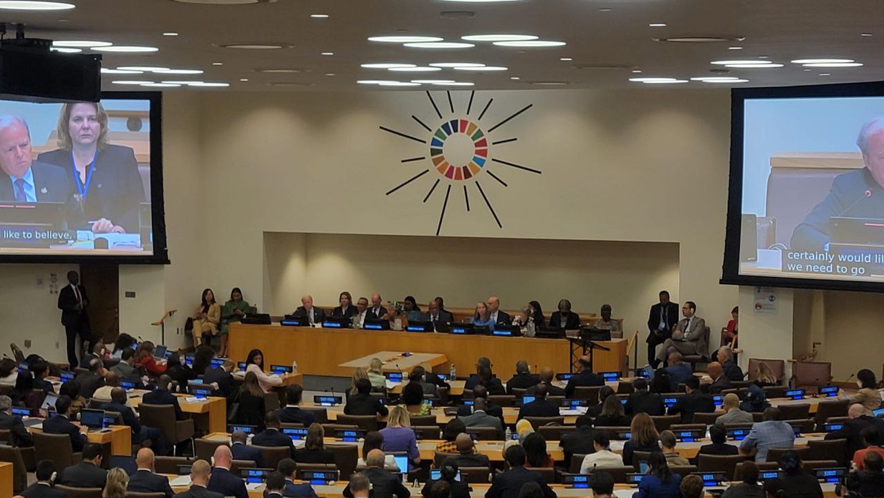 Venezuela participó en grupo de Contacto de Consenso de Brasilia en la ONU