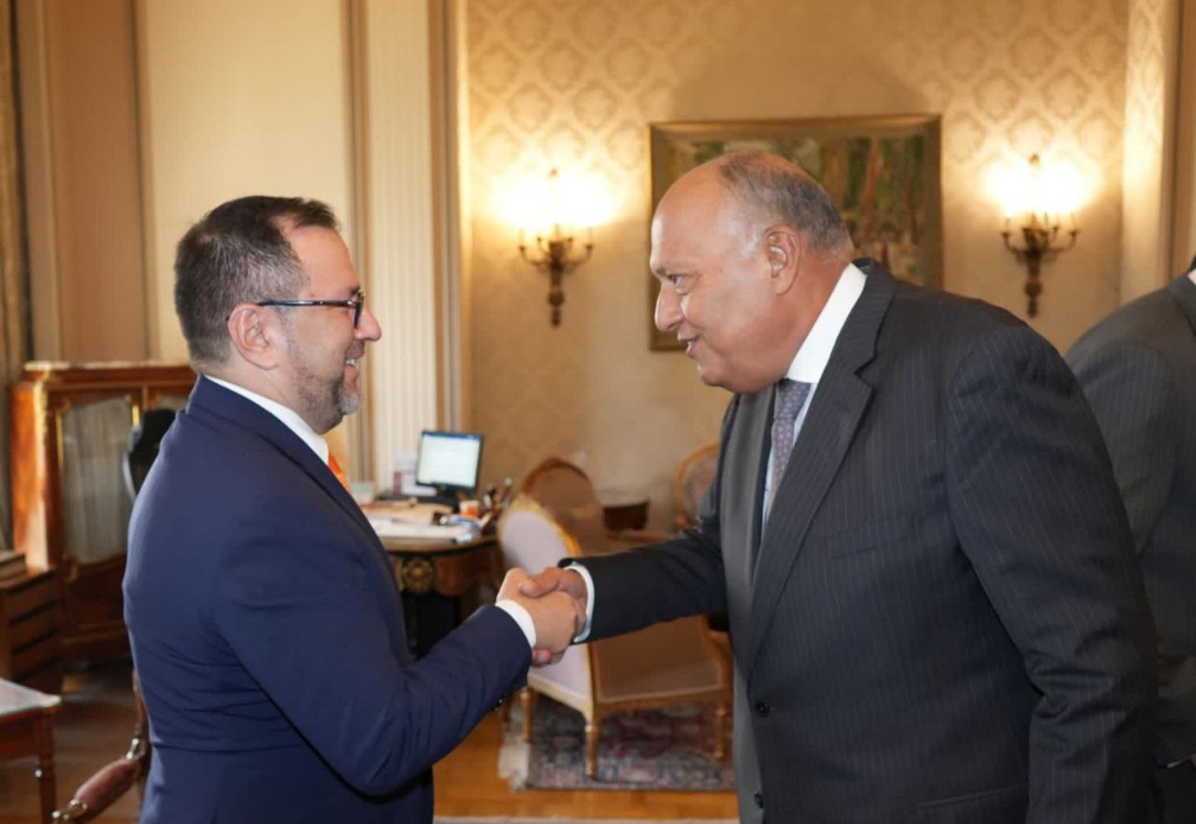 Cancilleres de Venezuela y Egipto comparten interés en dinamizar la cooperación bilateral